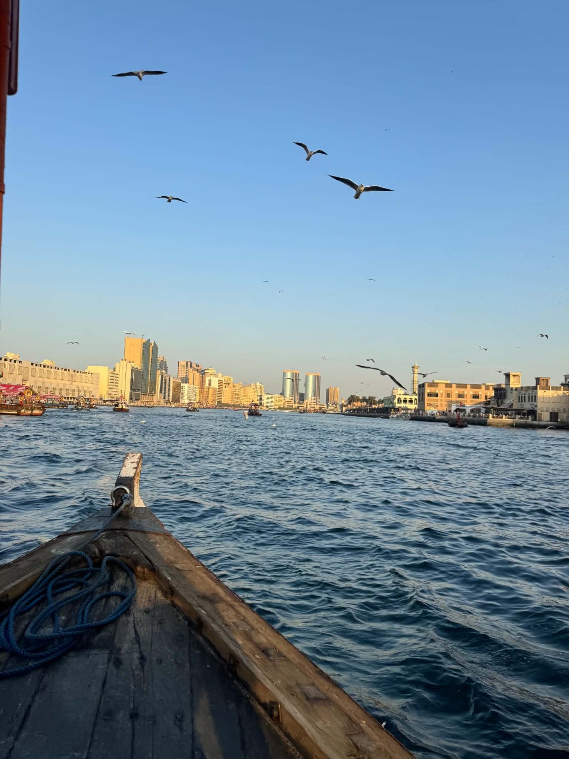 View across Dubai Creek from a traditional abra, with gulls over the water