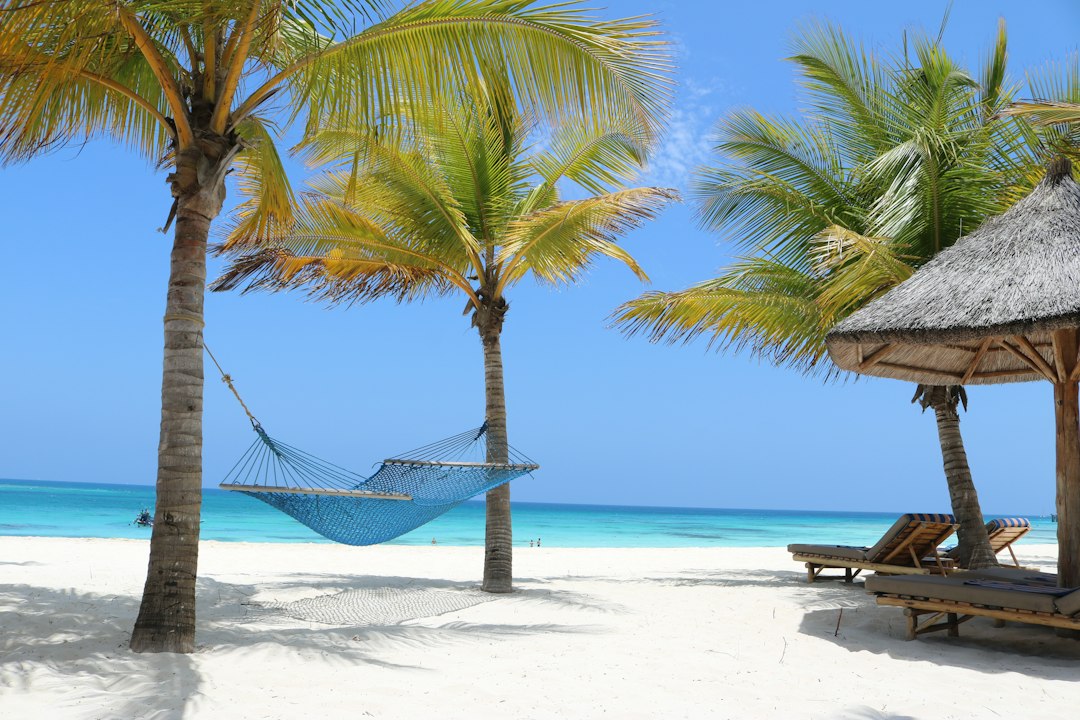 Tanzania & Zanzibar travel guide